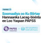 660345589 1564668825661034 2734055199893566364 n 150x150