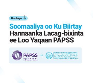 660345589 1564668825661034 2734055199893566364 n 360x320