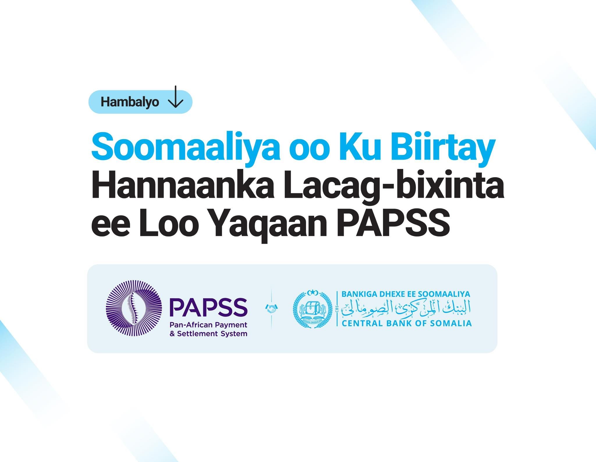 660345589 1564668825661034 2734055199893566364 n