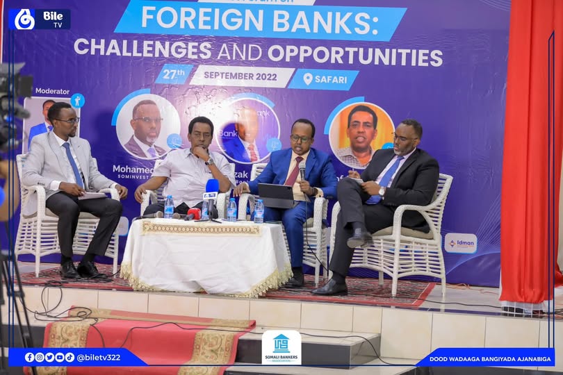 Foreign Banks Panel